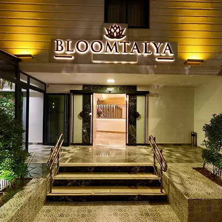 Bloomtalya *