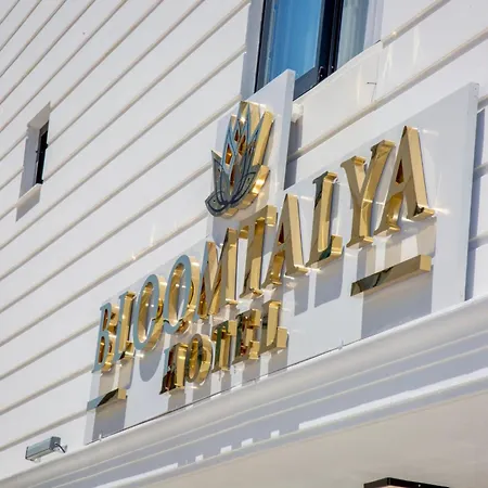 Bloomtalya * Antalya