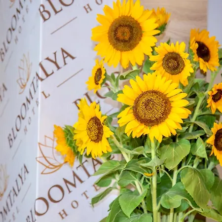 Bloomtalya *