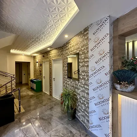 Bloomtalya * Antalya