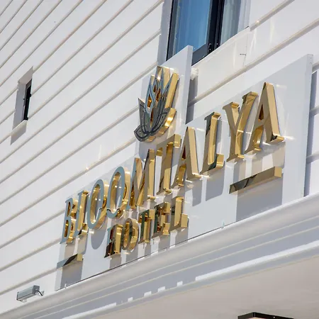 Bloomtalya Antalia